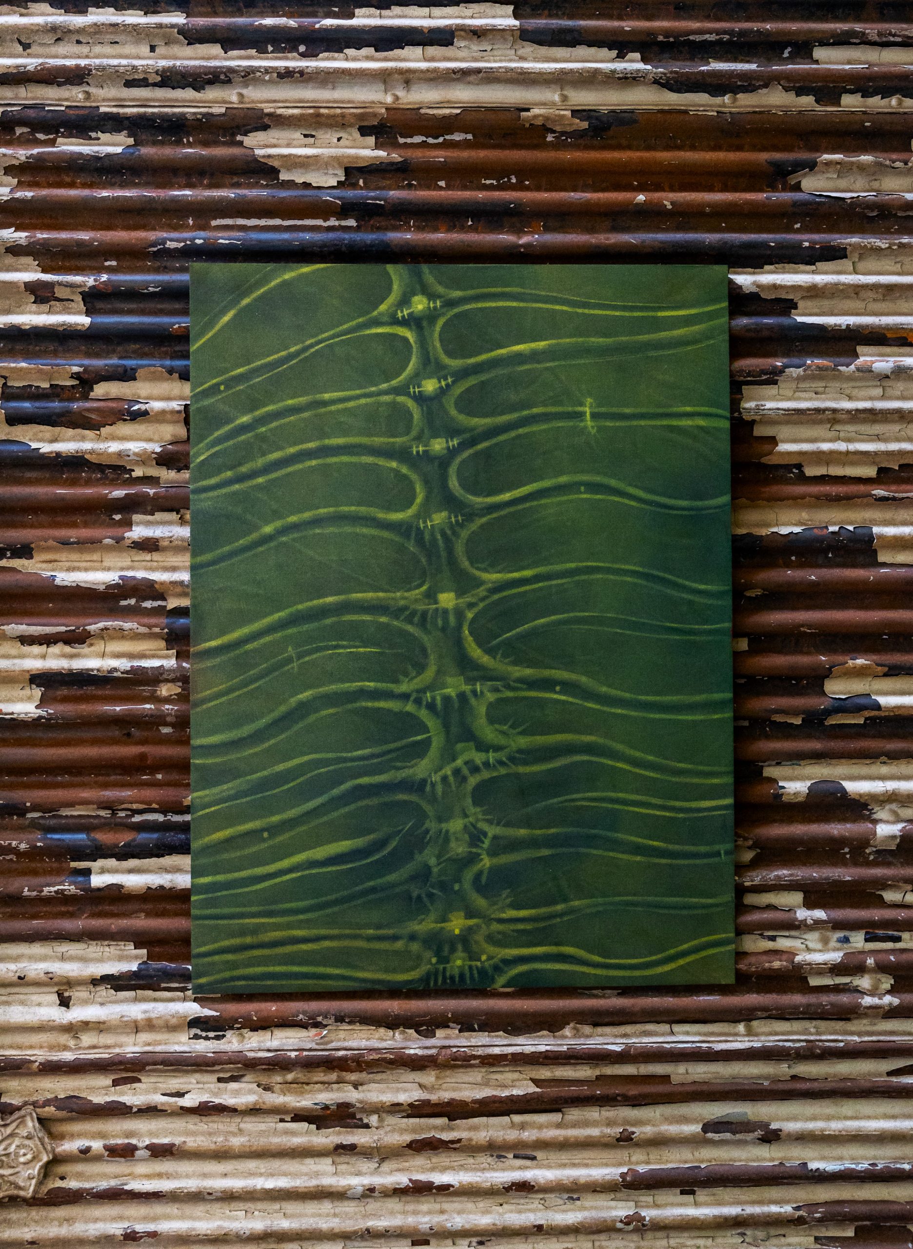 P.D.A., Yorgos Agrotes, installation view
