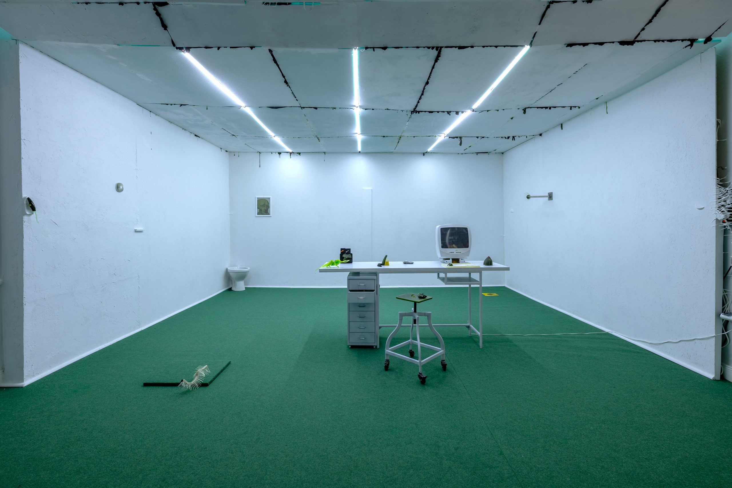 P.D.A., Yorgos Agrotes, installation view
