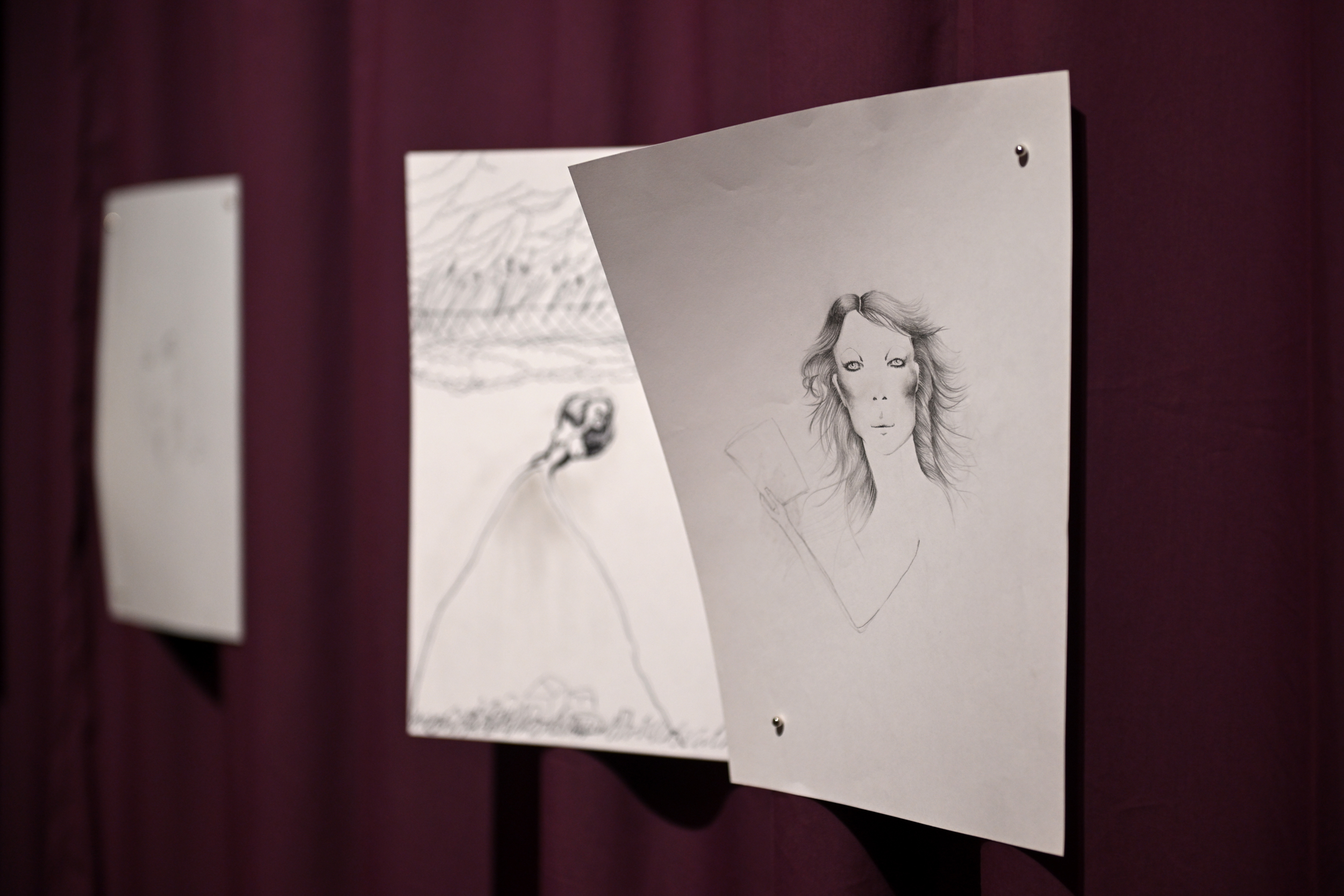 The Prophecy, installation view
