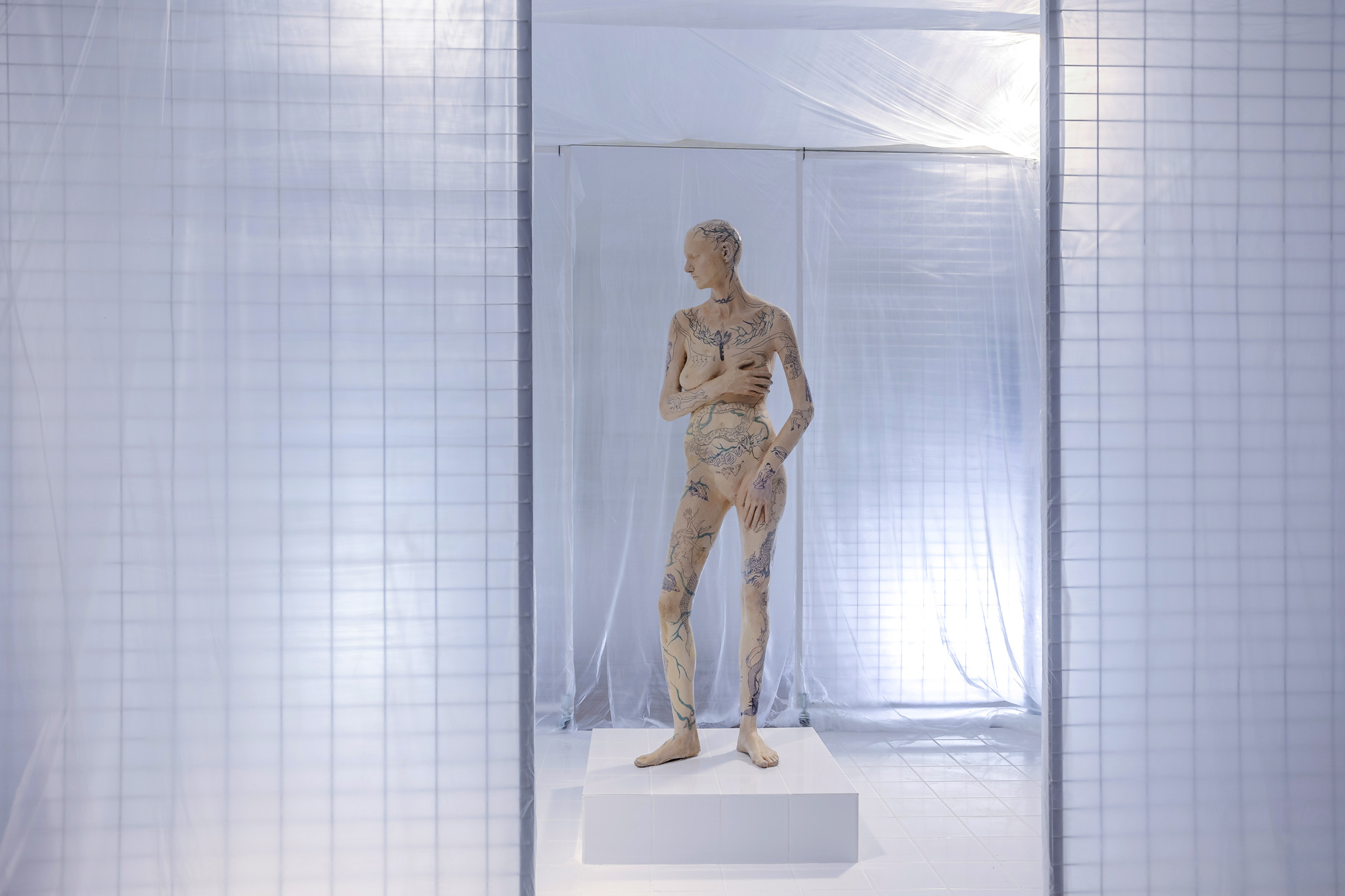 Barely Perceptible, installation view

